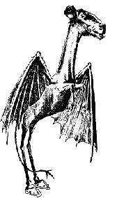 History:  The Jersey Devil